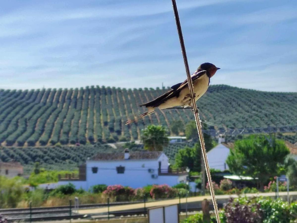 El Rancho Grande - Apartamento Алора Екстер'єр фото